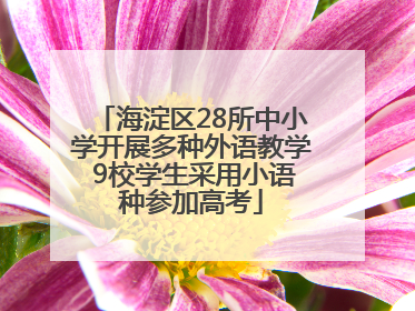 海淀区28所中小学开展多种外语教学 9校学生采用小语种参加高考
