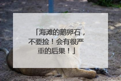海滩的鹅卵石，不要捡！会有很严重的后果！