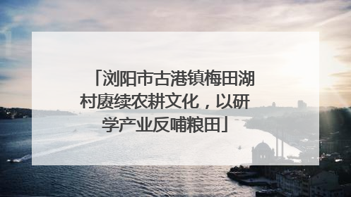浏阳市古港镇梅田湖村赓续农耕文化，以研学产业反哺粮田