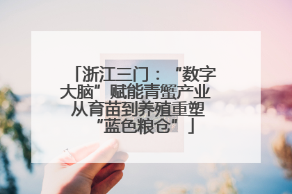 浙江三门：“数字大脑”赋能青蟹产业 从育苗到养殖重塑“蓝色粮仓”