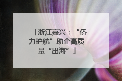 浙江嘉兴：“侨力护航”助企高质量“出海”