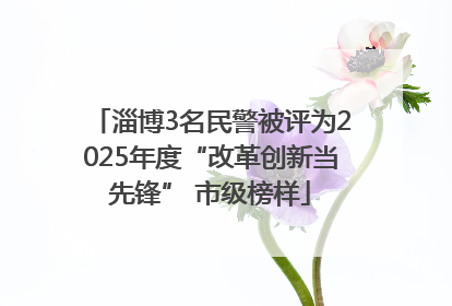 淄博3名民警被评为2025年度“改革创新当先锋” 市级榜样