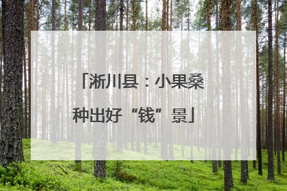 淅川县：小果桑种出好“钱”景