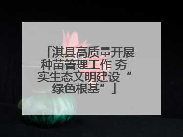 淇县高质量开展种苗管理工作 夯实生态文明建设“绿色根基”