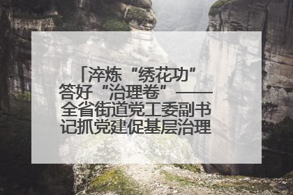 淬炼“绣花功” 答好“治理卷”——全省街道党工委副书记抓党建促基层治理培训示范班侧记