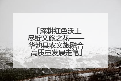 深耕红色沃土 尽绽文旅之花——华池县农文旅融合高质量发展走笔