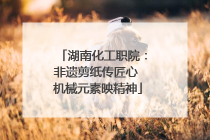 湖南化工职院：非遗剪纸传匠心 机械元素映精神