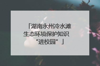 湖南永州冷水滩生态环境保护知识“进校园”