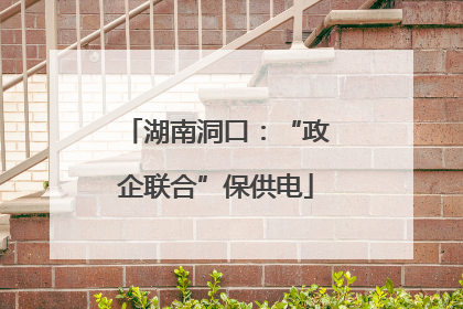 湖南洞口：“政企联合”保供电
