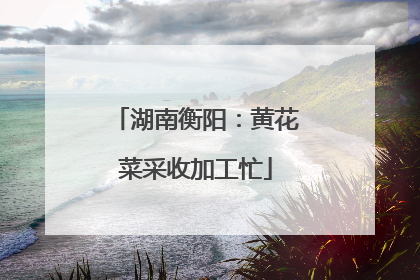 湖南衡阳：黄花菜采收加工忙