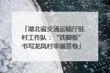 湖北省交通运输厅驻村工作队：“铁脚板”书写龙凤村幸福答卷