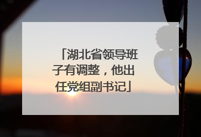 湖北省领导班子有调整，他出任党组副书记