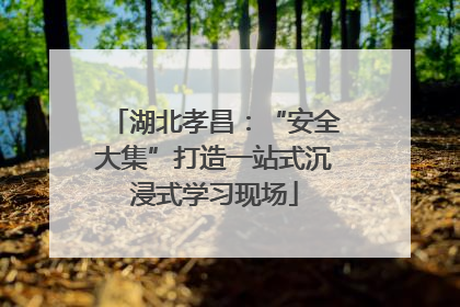 湖北孝昌：“安全大集”打造一站式沉浸式学习现场