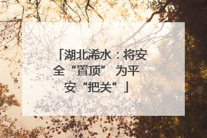 湖北浠水：将安全“置顶” 为平安“把关”