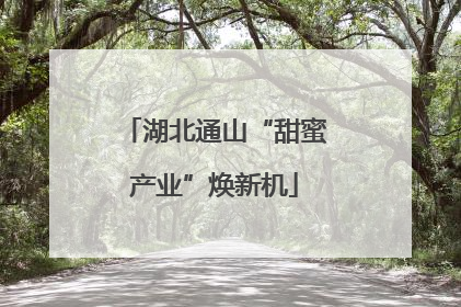 湖北通山“甜蜜产业”焕新机