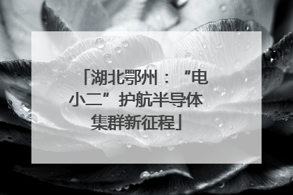 湖北鄂州：“电小二”护航半导体集群新征程