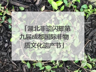 湖北非遗闪耀第九届成都国际非物质文化遗产节