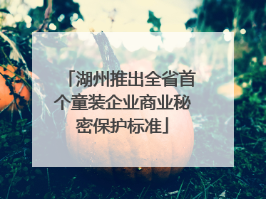 湖州推出全省首个童装企业商业秘密保护标准