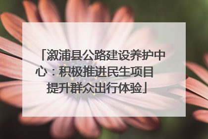 溆浦县公路建设养护中心：积极推进民生项目 提升群众出行体验