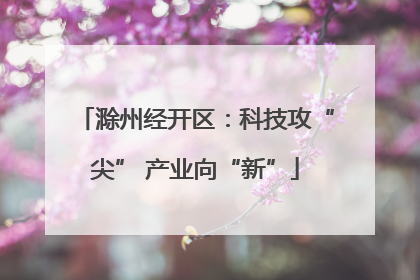 滁州经开区：科技攻“尖” 产业向“新”