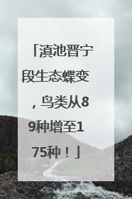 滇池晋宁段生态蝶变，鸟类从89种增至175种！