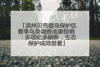 滨州贝壳堤岛保护区春季鸟类调查成果惊艳：多项纪录刷新，生态保护成效显著
