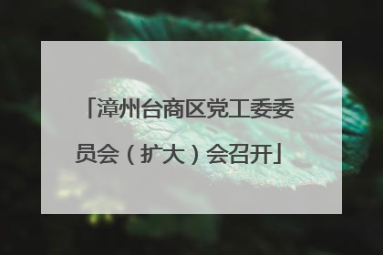 漳州台商区党工委委员会（扩大）会召开