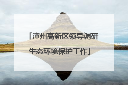 漳州高新区领导调研生态环境保护工作