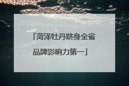 菏泽牡丹跻身全省品牌影响力第一