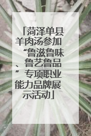 菏泽单县羊肉汤参加“鲁滋鲁味、鲁艺鲁品”专项职业能力品牌展示活动