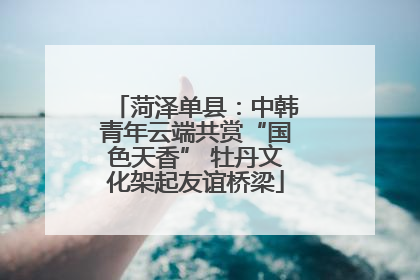 菏泽单县：中韩青年云端共赏“国色天香” 牡丹文化架起友谊桥梁