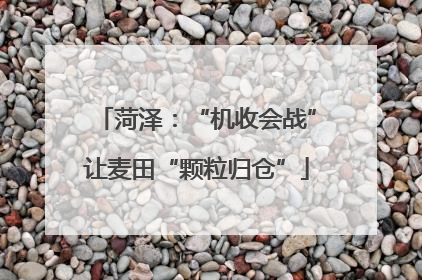 菏泽：“机收会战”让麦田“颗粒归仓”