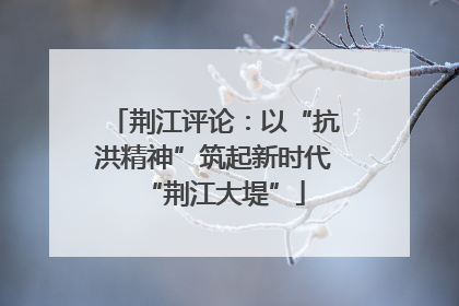 荆江评论：以“抗洪精神”筑起新时代“荆江大堤”