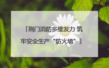 荆门消防多维发力 筑牢安全生产“防火墙”