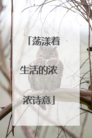 荡漾着生活的浓浓诗意