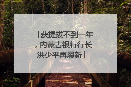 获提拔不到一年，内蒙古银行行长洪少平再履新