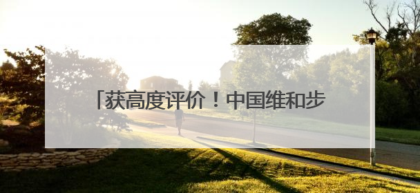 获高度评价！中国维和步兵营通过联合国装备核查