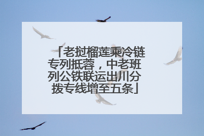 老挝榴莲乘冷链专列抵蓉，中老班列公铁联运出川分拨专线增至五条