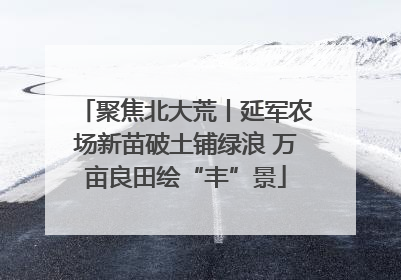 聚焦北大荒丨延军农场新苗破土铺绿浪 万亩良田绘“丰”景
