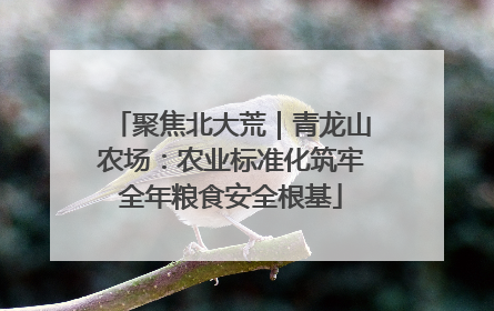聚焦北大荒｜青龙山农场：农业标准化筑牢全年粮食安全根基