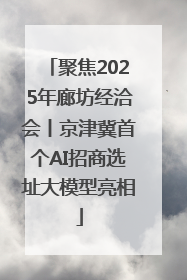 聚焦2025年廊坊经洽会丨京津冀首个AI招商选址大模型亮相