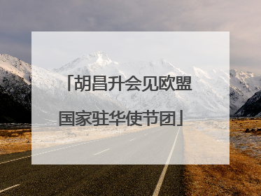 胡昌升会见欧盟国家驻华使节团