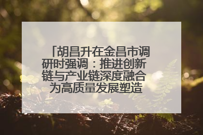 胡昌升在金昌市调研时强调：推进创新链与产业链深度融合 为高质量发展塑造新动能新优势