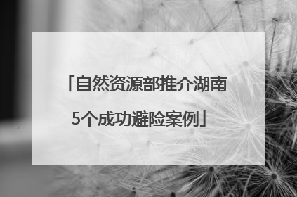 自然资源部推介湖南5个成功避险案例