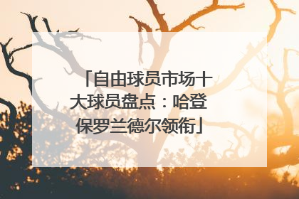 自由球员市场十大球员盘点：哈登保罗兰德尔领衔