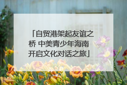 自贸港架起友谊之桥 中美青少年海南开启文化对话之旅