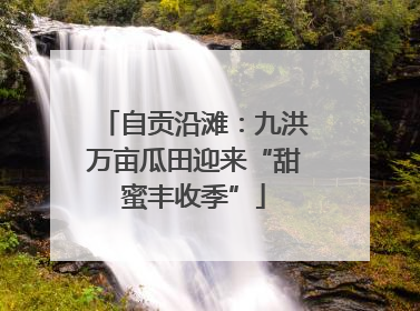 自贡沿滩：九洪万亩瓜田迎来“甜蜜丰收季”