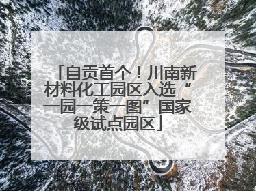 自贡首个！川南新材料化工园区入选“一园一策一图”国家级试点园区