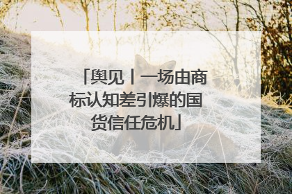 舆见丨一场由商标认知差引爆的国货信任危机
