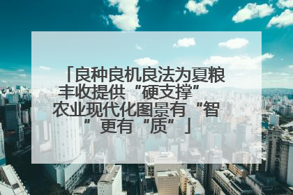 良种良机良法为夏粮丰收提供“硬支撑” 农业现代化图景有“智”更有“质”